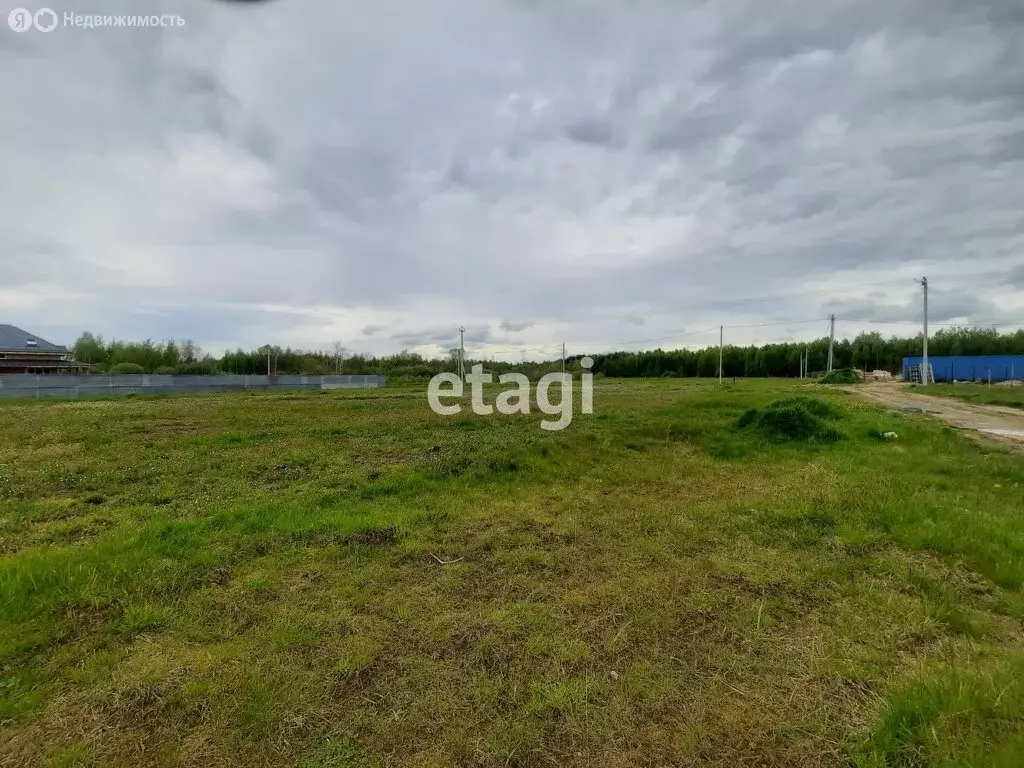 Участок в Владимирская область, Петушинский муниципальный округ, СНТ ... - Фото 2