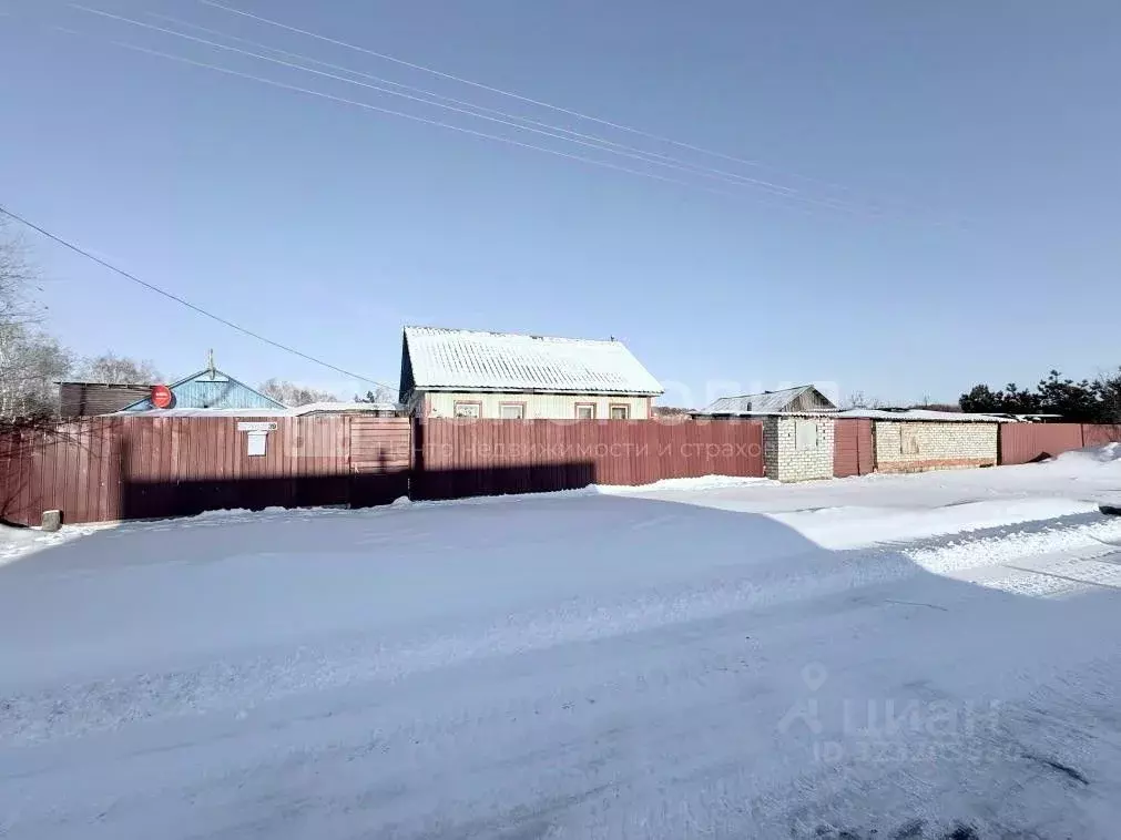 Дом в Амурская область, Серышевский муниципальный округ, с. Бочкаревка ... - Фото 2