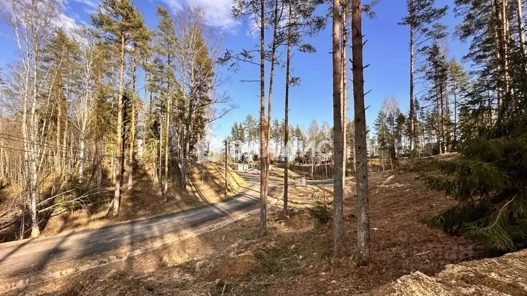 Участок в Ленинградская область, Всеволожский район, Куйвозовское ... - Фото 2