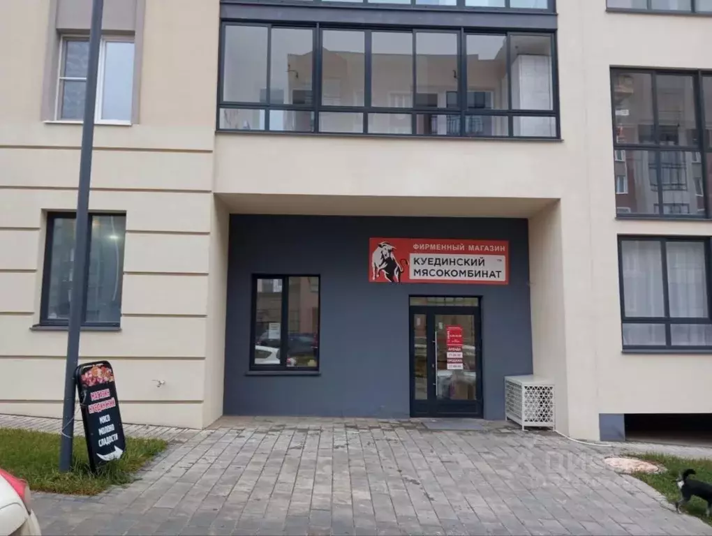 Торговая площадь в Удмуртия, Завьяловский район, с. Первомайский ул. ... - Фото 1