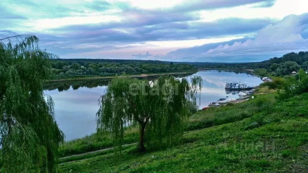 Участок в Калужская область, Таруса Серпуховское ш. (404.55 сот.) - Фото 0