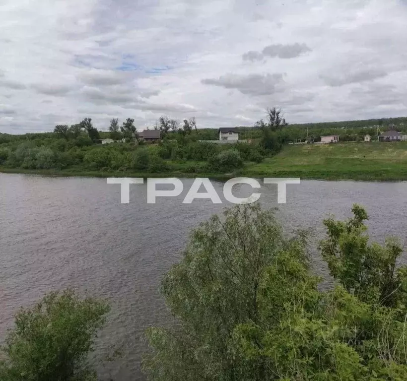 Участок в Воронежская область, Рамонский район, с. Ямное  (200.0 сот.) - Фото 2