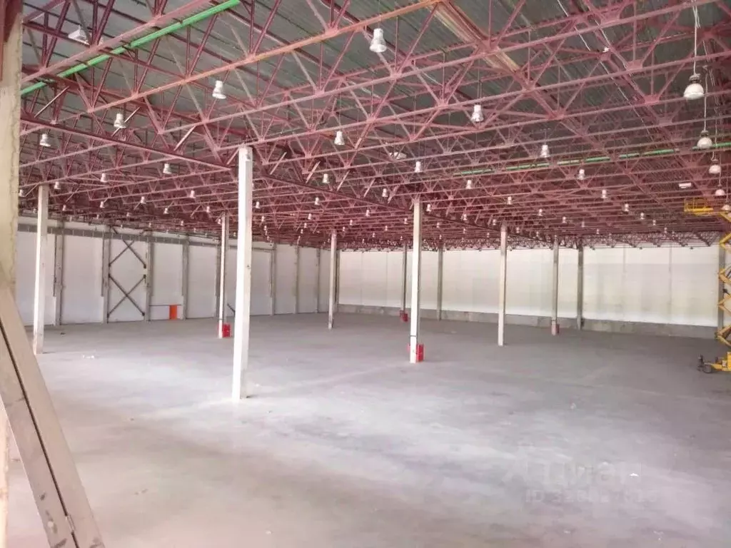 Склад в Московская область, Чехов муниципальный округ, с. Новоселки, ... - Фото 1