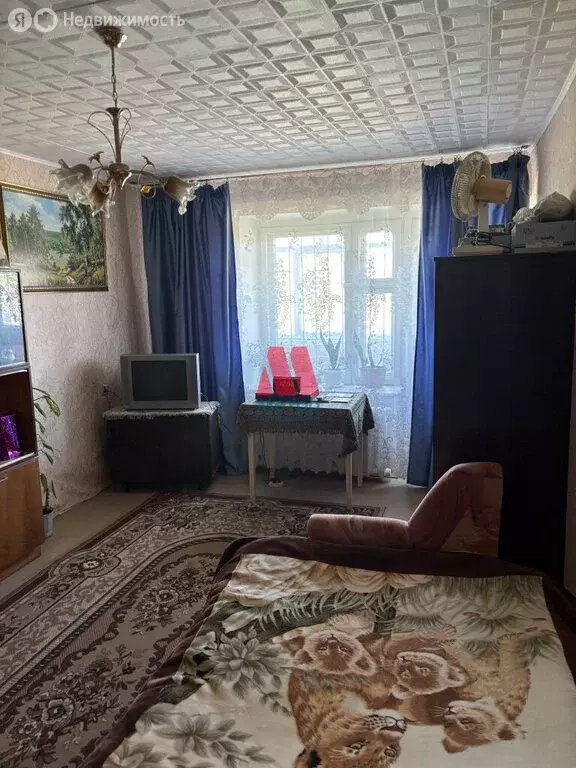 1-комнатная квартира: Ярославль, улица Колышкина, 62к4 (32.9 м) - Фото 1