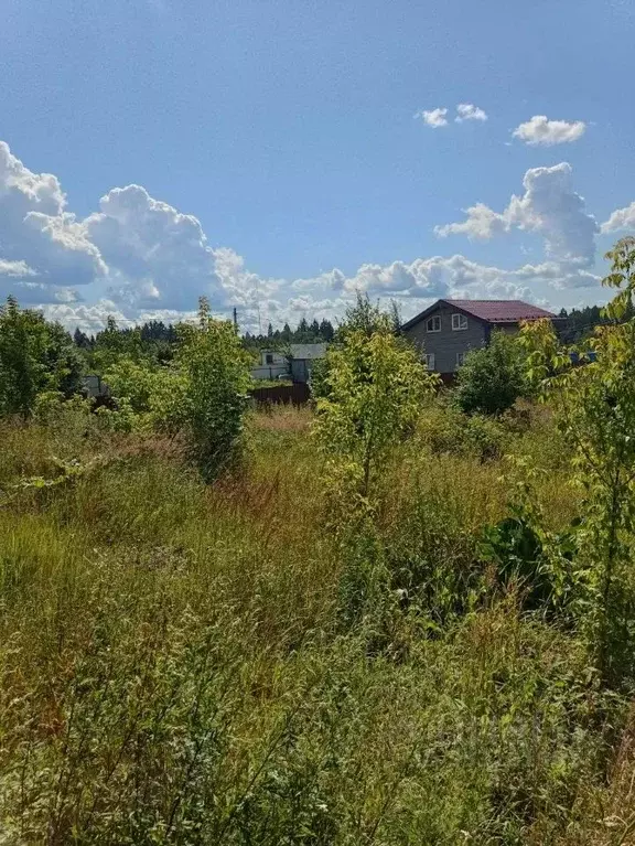 Участок в Московская область, Солнечногорск городской округ, пос. ... - Фото 1