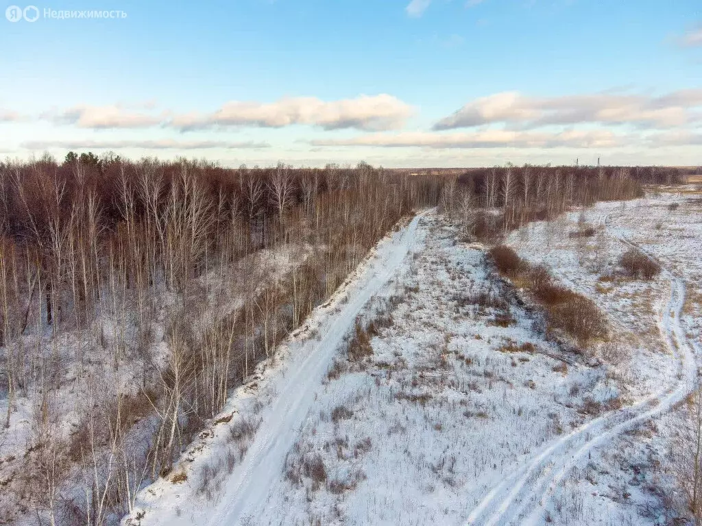 Участок в Тюмень, садовое товарищество Лаванда (11.49 м) - Фото 1