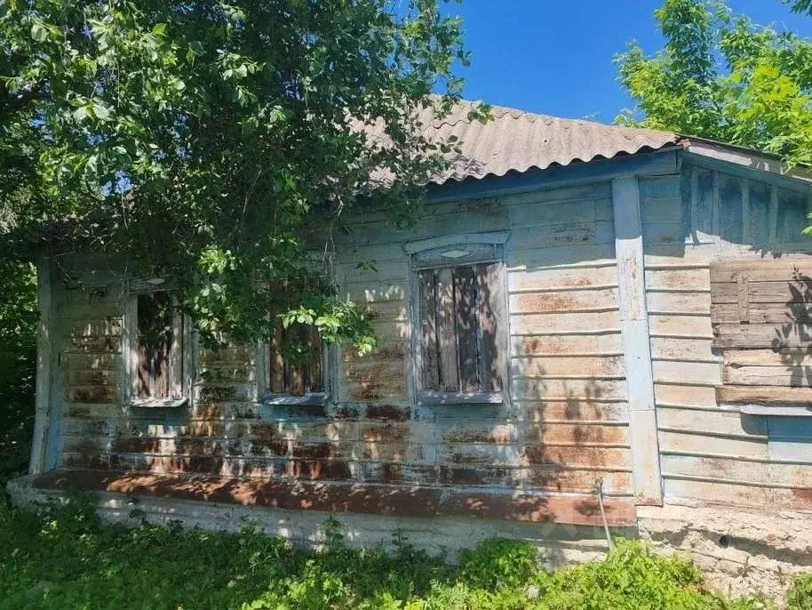 Дом в Белгородская область, Красногвардейский район, Веселовское ... - Фото 1