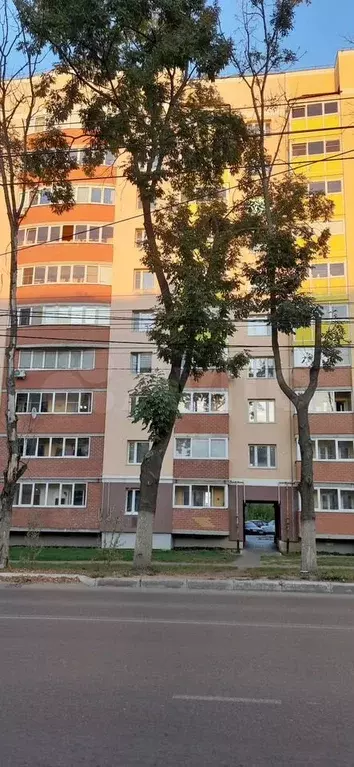 1-к. квартира, 38 м, 3/11 эт. - Фото 1