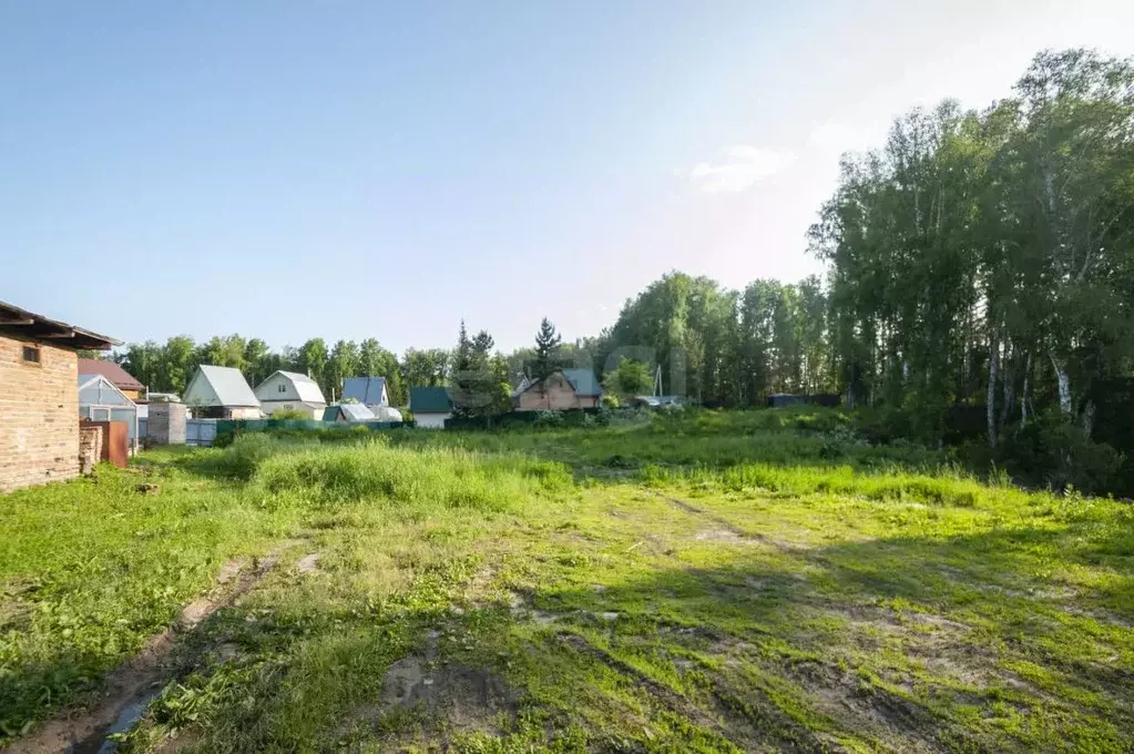 Участок в Новосибирская область, Новосибирский район, Барышевский ... - Фото 1
