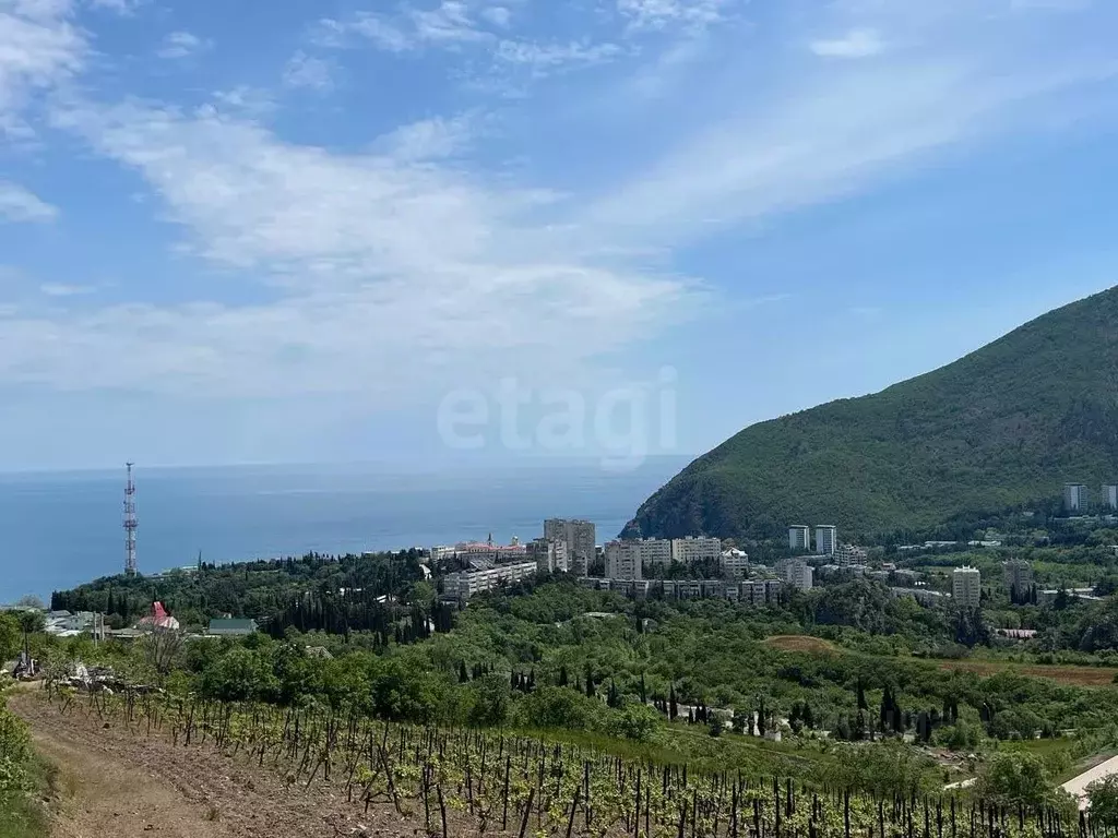 Участок в Крым, Алушта муниципальный округ, Партенит пгт ул. ... - Фото 1