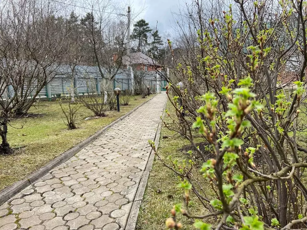 Участок в Московская область, Мытищи городской округ, д. Высоково ул. ... - Фото 1