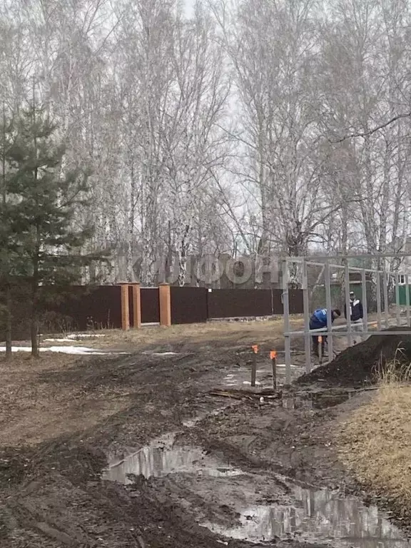 Участок в Новосибирская область, Новосибирск  (10.0 сот.) - Фото 2