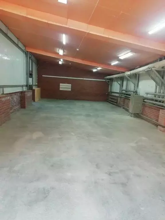 Склад в Новосибирская область, Новосибирск ул. Писемского, 1Ак4 (80 м) - Фото 1