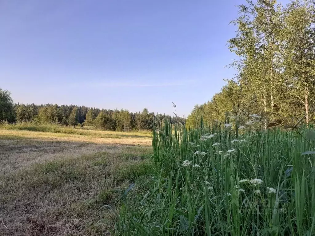 Участок в Ленинградская область, Выборгский район, Красносельское ... - Фото 1