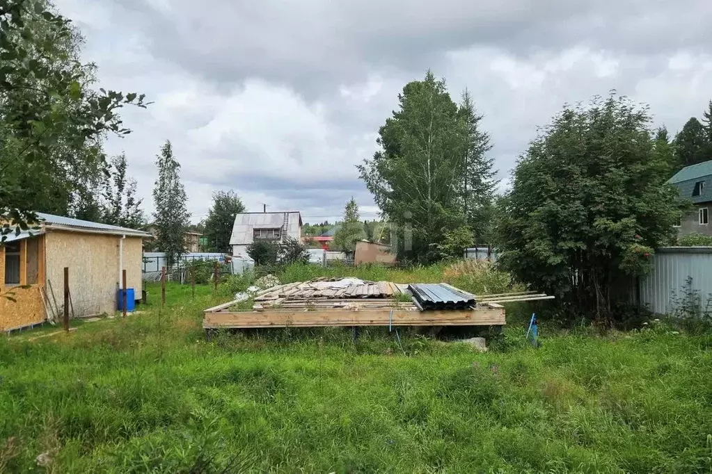 Участок в Ханты-Мансийский АО, Ханты-Мансийск Кедр СОТ, 110 (5.1 сот.) - Фото 0