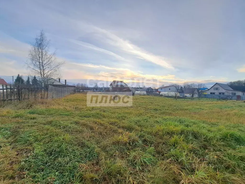 Участок в Владимирская область, Александровский муниципальный округ, ... - Фото 1