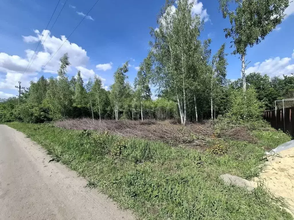 Участок в Белгородская область, Белгородский район, Тавровское с/пос, ... - Фото 0