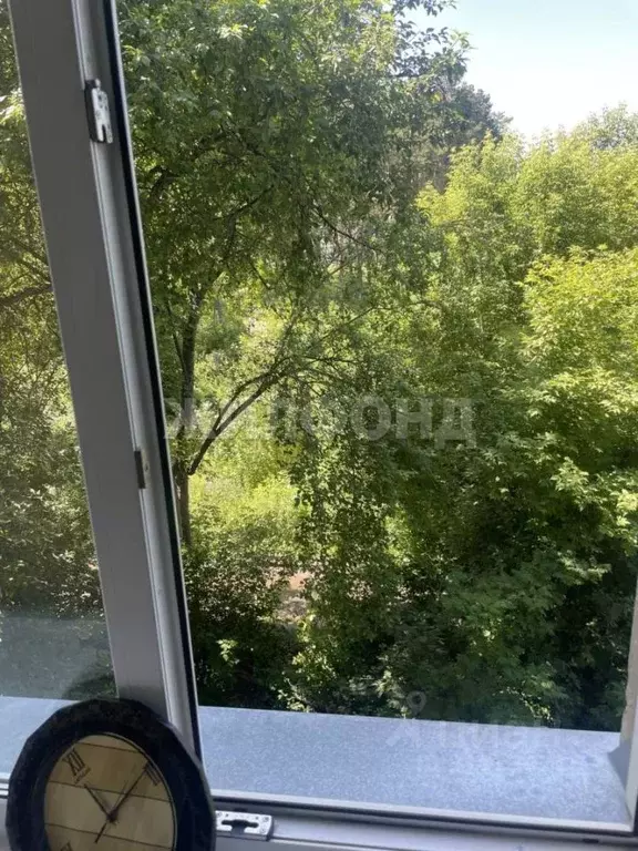 Комната Новосибирская область, Новосибирск ул. Кузьмы Минина, 4А (10.2 ... - Фото 1
