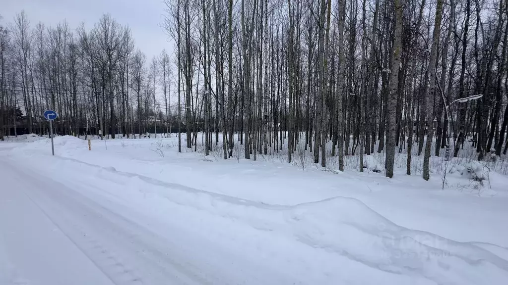 Участок в Санкт-Петербург, Санкт-Петербург, Павловск Павлов Скай кп,  ... - Фото 2