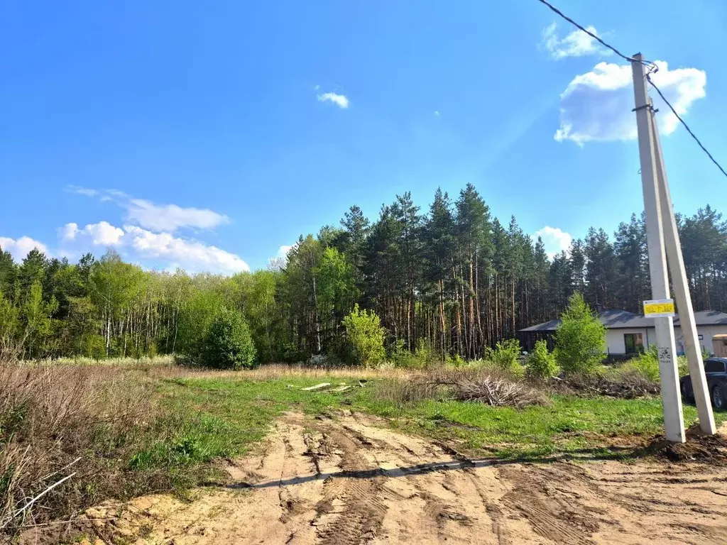 Участок в Воронежская область, Рамонский район, Айдаровское с/пос, с. ... - Фото 2