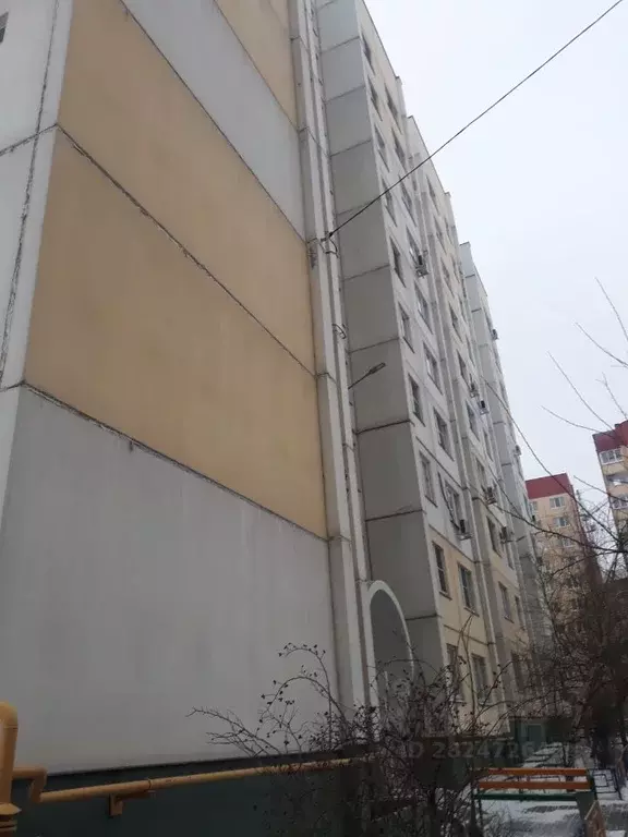 2-к кв. Воронежская область, Воронеж ул. 9 Января, 233/8 (56.0 м) - Фото 1