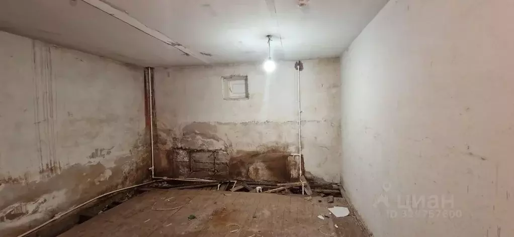Помещение свободного назначения в Новгородская область, Боровичи ул. ... - Фото 1