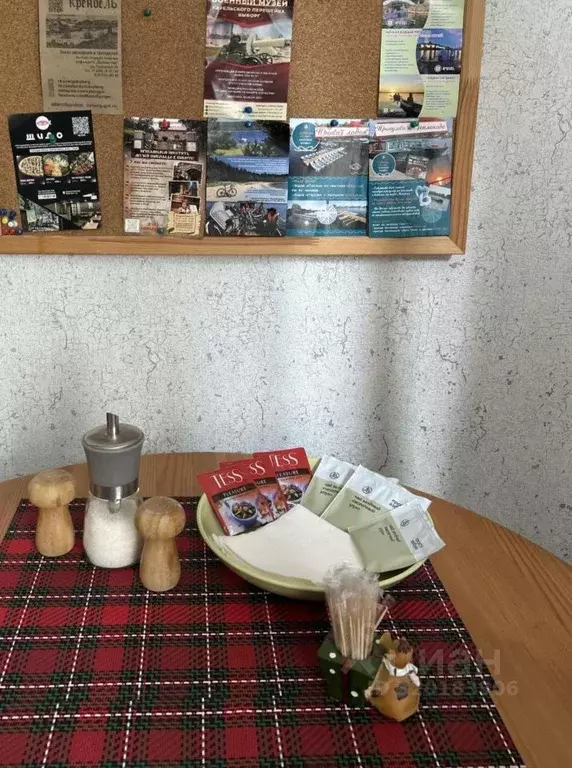 1-к кв. Ленинградская область, Выборг ул. Водной Заставы, 6 (20.0 м) - Фото 2