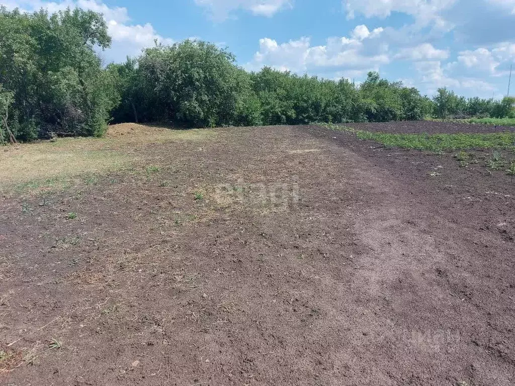 Участок в Белгородская область, Корочанский район, Новослободское ... - Фото 0