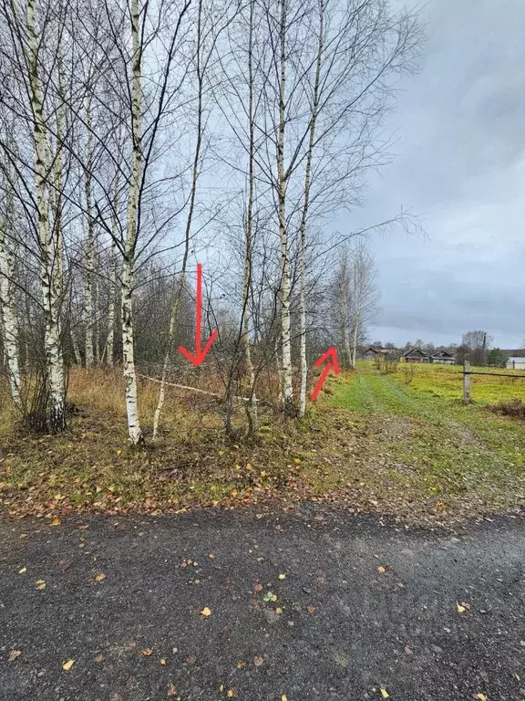 Участок в Ярославская область, Мышкинский муниципальный округ, с. Учма ... - Фото 2