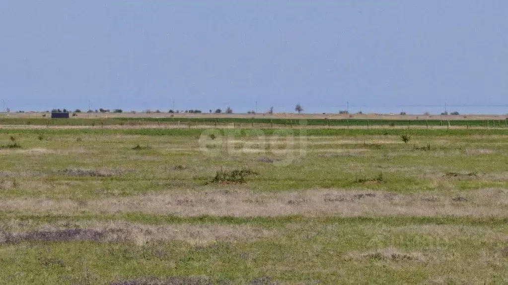 Участок в Крым, Ленинский район, с. Калиновка ул. Абденановой (6.0 ... - Фото 1