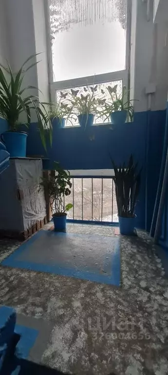 2-к кв. Волгоградская область, Волгоград Шефская ул., 82 (40.0 м) - Фото 1