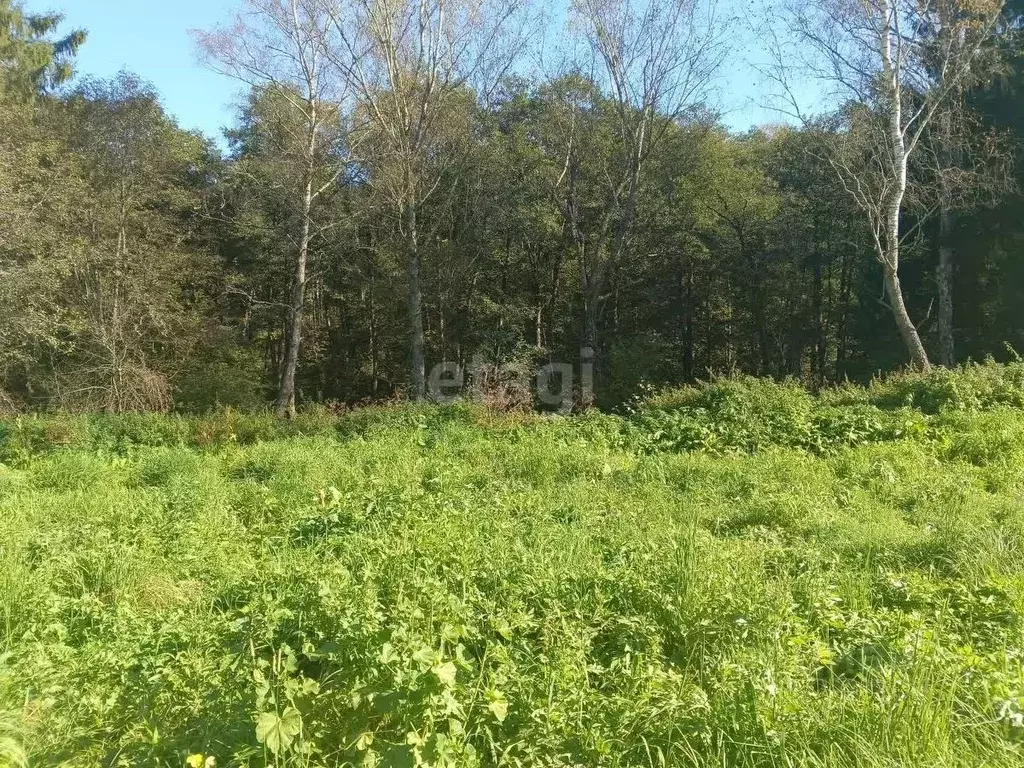 Участок в Калужская область, Жуковский муниципальный округ, с. ... - Фото 2
