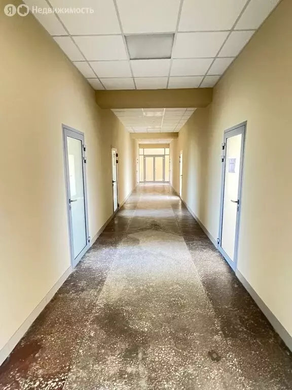 Помещение свободного назначения (17 м) - Фото 2