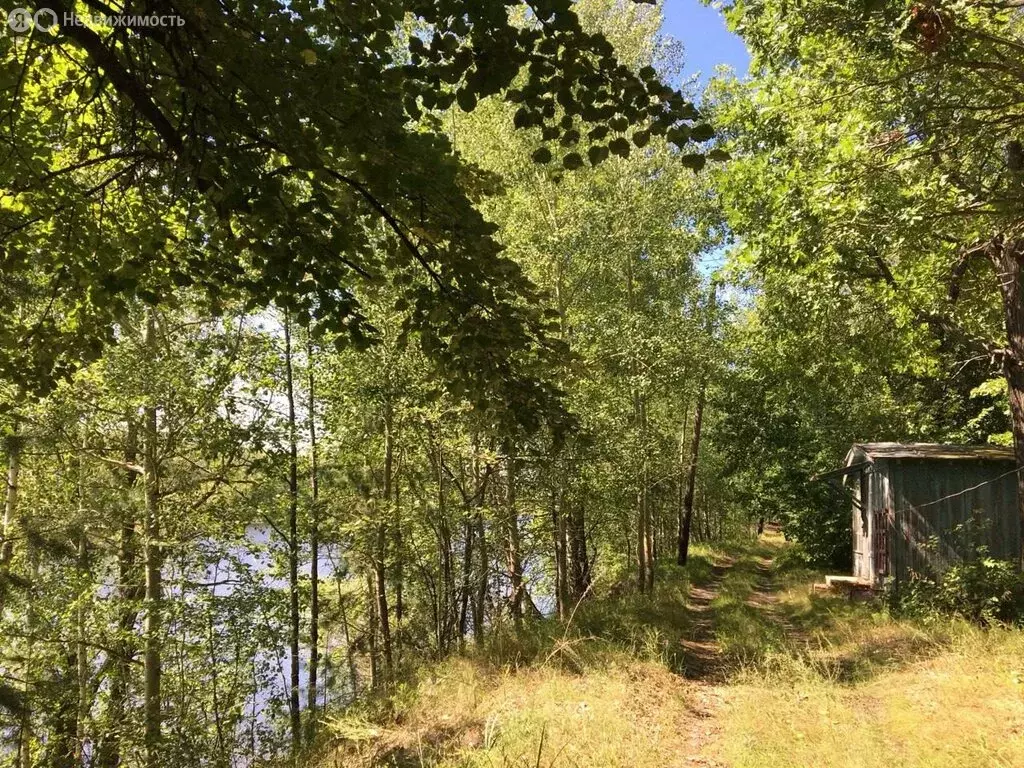 Участок в Аэропорт, улица Аэропорт, 11 (1500 м) - Фото 1