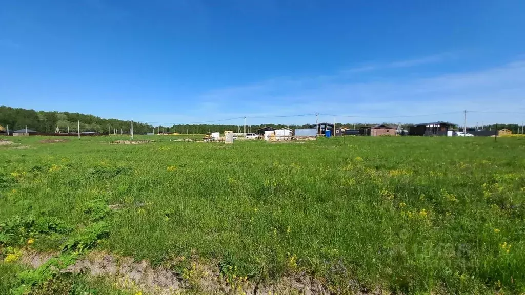 Участок в Московская область, Истра городской округ, Рижские Зори кп ... - Фото 0