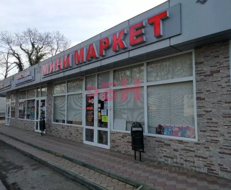 Торговая площадь в Воронежская область, Воронеж ул. Летчика ... - Фото 0
