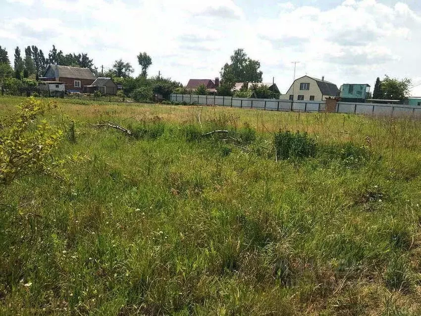 Участок в Воронежская область, с. Новая Усмань ул. Заречная, 96 (13.0 ... - Фото 0