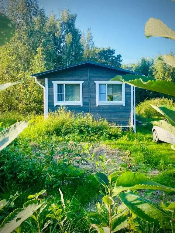 Дом в Псковская область, Пушкиногорье городское поселение, д. Березино ... - Фото 2