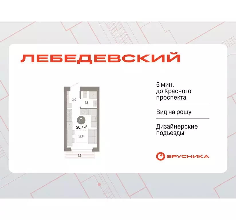 Квартира-студия: Новосибирск, квартал Лебедевский, 1/3 (20.7 м) - Фото 1