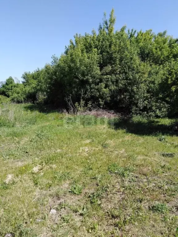 Участок в Белгородская область, Валуйки Соцгородок мкр,  (15.0 сот.) - Фото 0