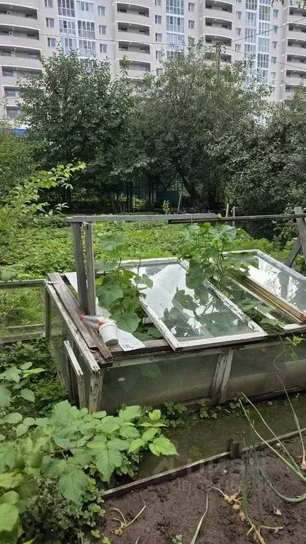 Участок в Чувашия, Чебоксары Волга СНТ, 31 (3.5 сот.) - Фото 1