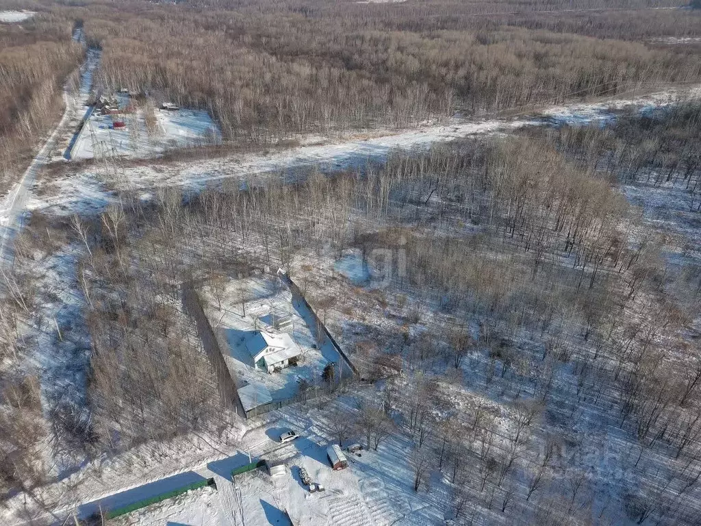 Участок в Хабаровский край, Хабаровский район, Осиновореченское с/пос, ... - Фото 1