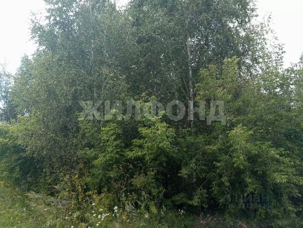 Участок в Новосибирская область, Новосибирск Тайфун СТ,  (8.6 сот.) - Фото 2