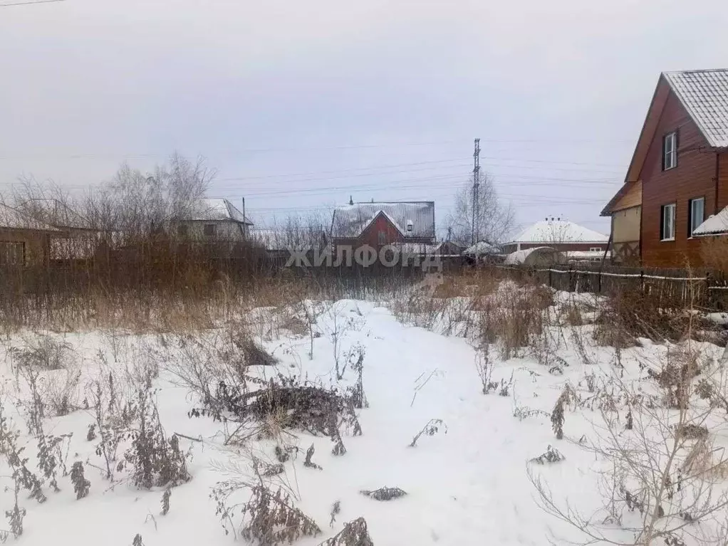 Участок в Новосибирская область, Новосибирский район, с. Толмачево ул. ... - Фото 1