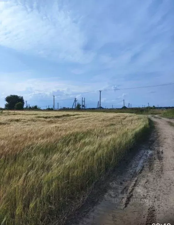 Участок в Ленинградская область, Ломоносовский район, Гостилицкое ... - Фото 2