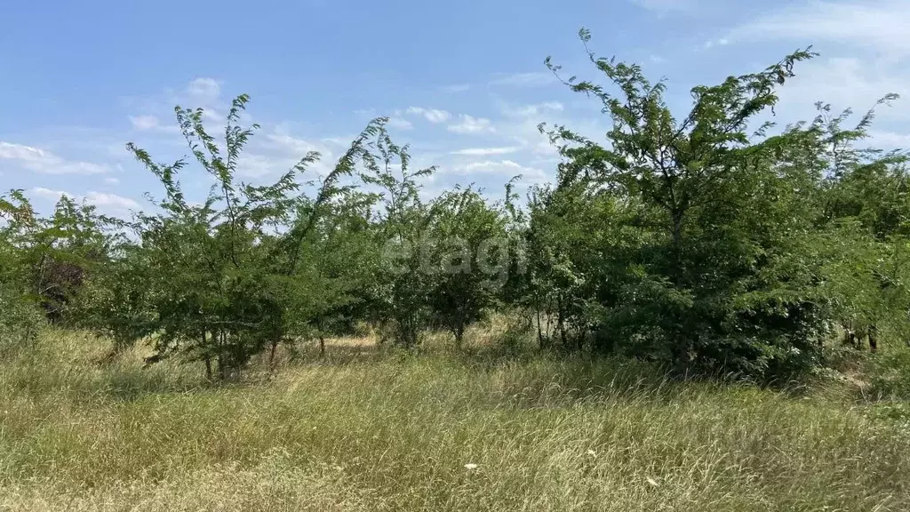 Участок в Адыгея, Теучежский район, Тлюстенхабльское городское ... - Фото 0