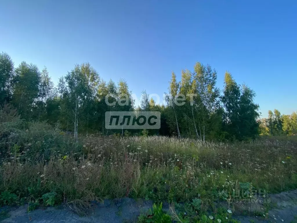 Участок в Рязанская область, Рязанский муниципальный округ, с. ... - Фото 2