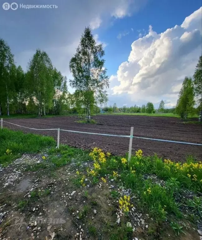 Участок в Наро-Фоминский городской округ, садовое товарищество Стрела, ... - Фото 0