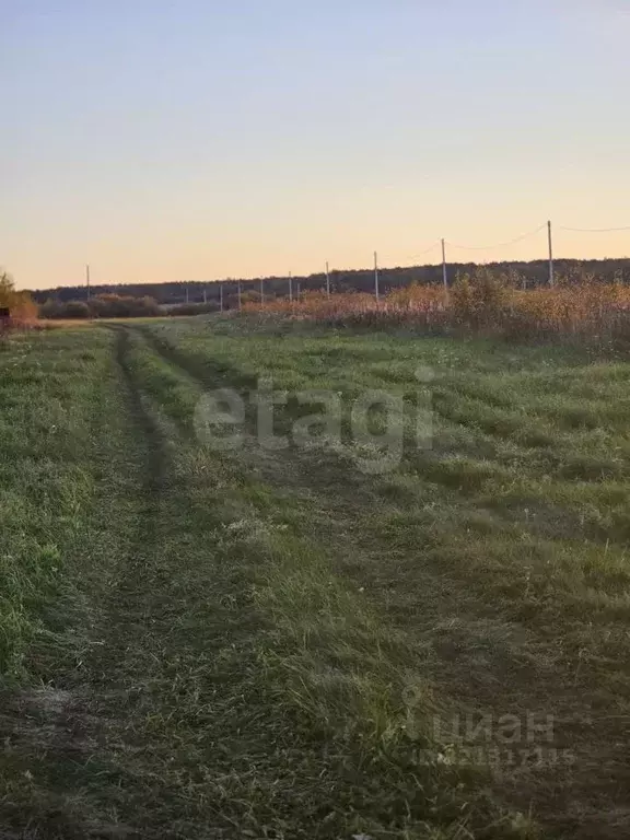 Участок в Свердловская область, Слободо-Туринский район, ... - Фото 0