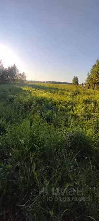Участок в Нижегородская область, Городецкий муниципальный округ, д. ... - Фото 1